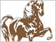 View Saddle Pics logo
